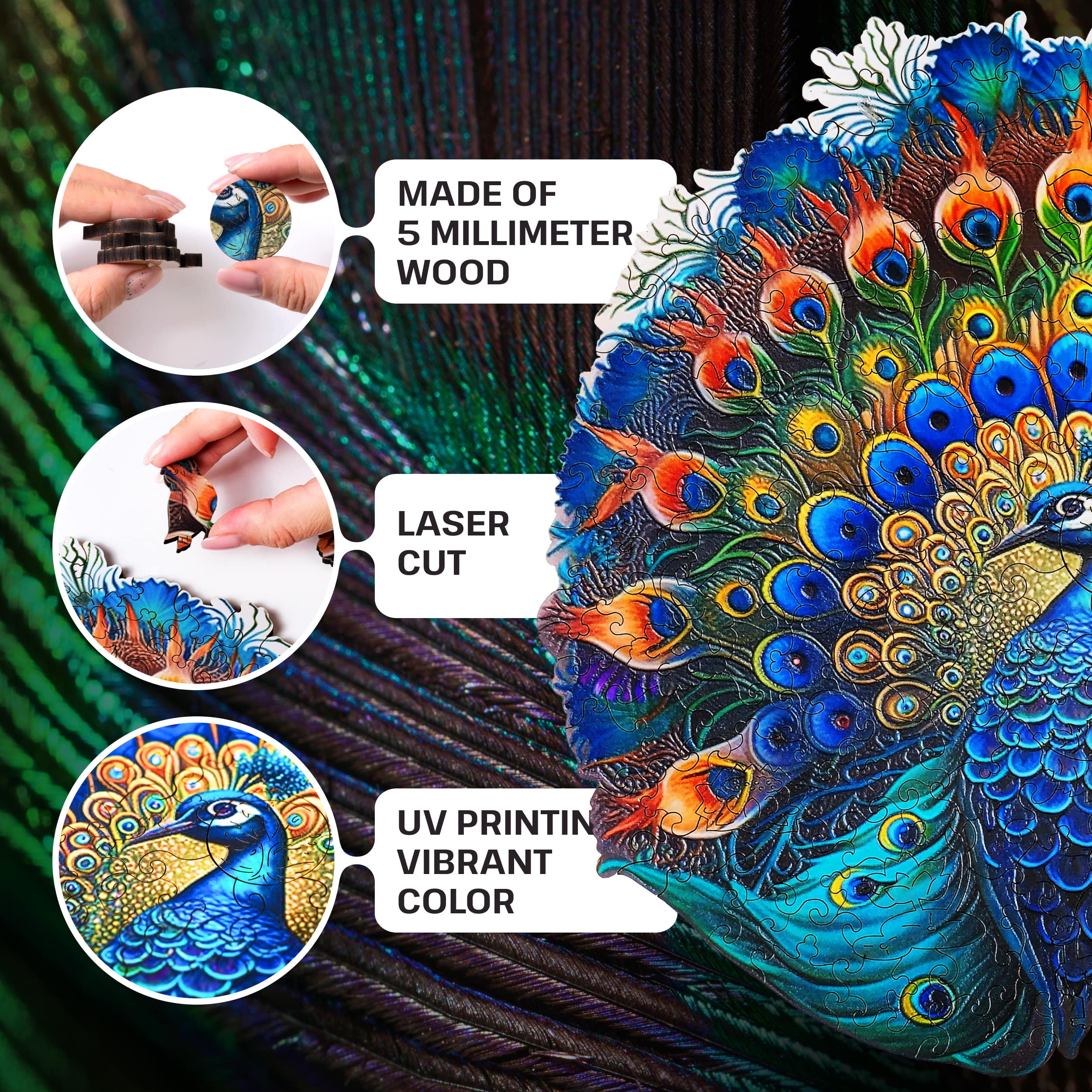 Images and photos of Peacock puzzle 500 pieces. ESC WELT.