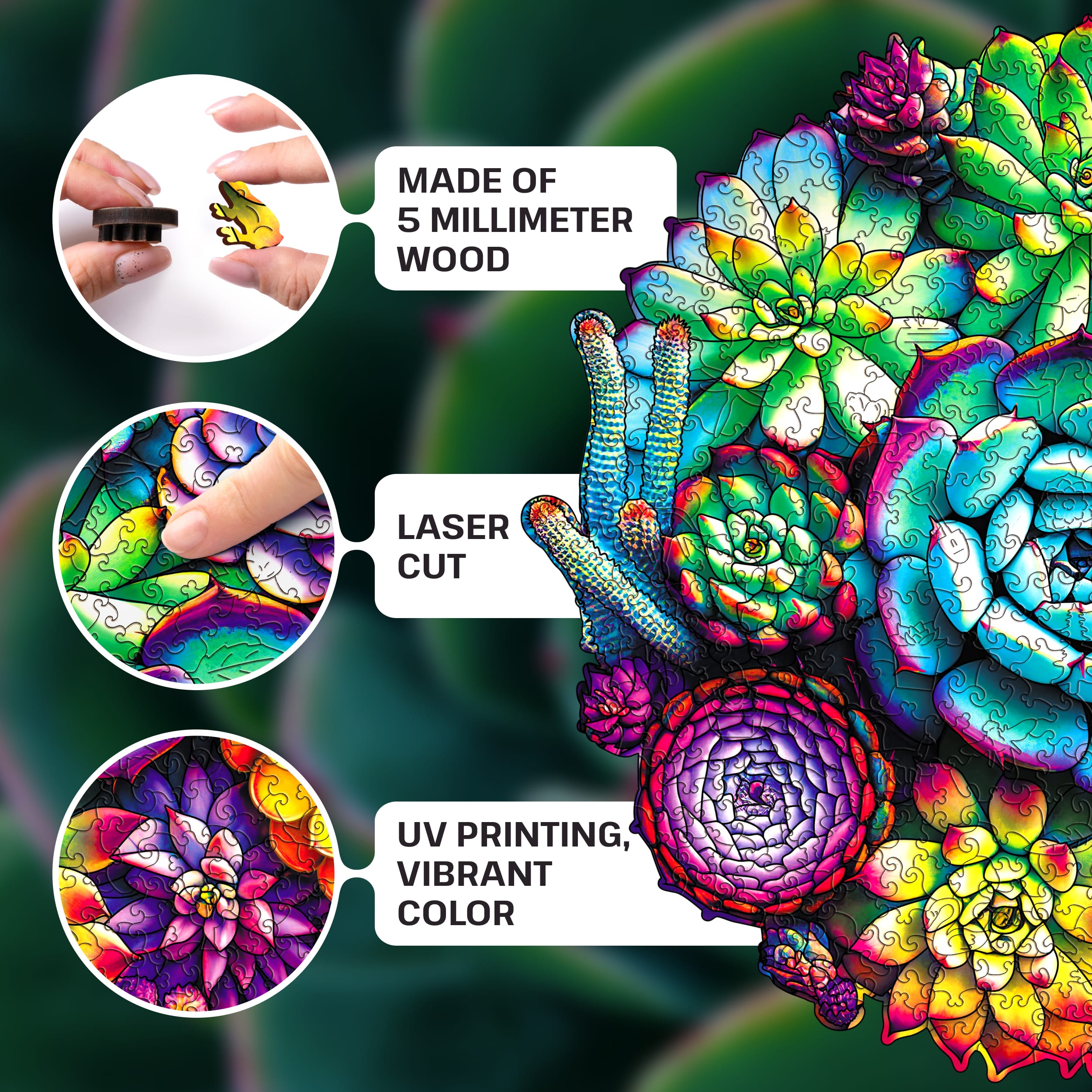 Images and photos of Succulent puzzle 500 pieces. ESC WELT.