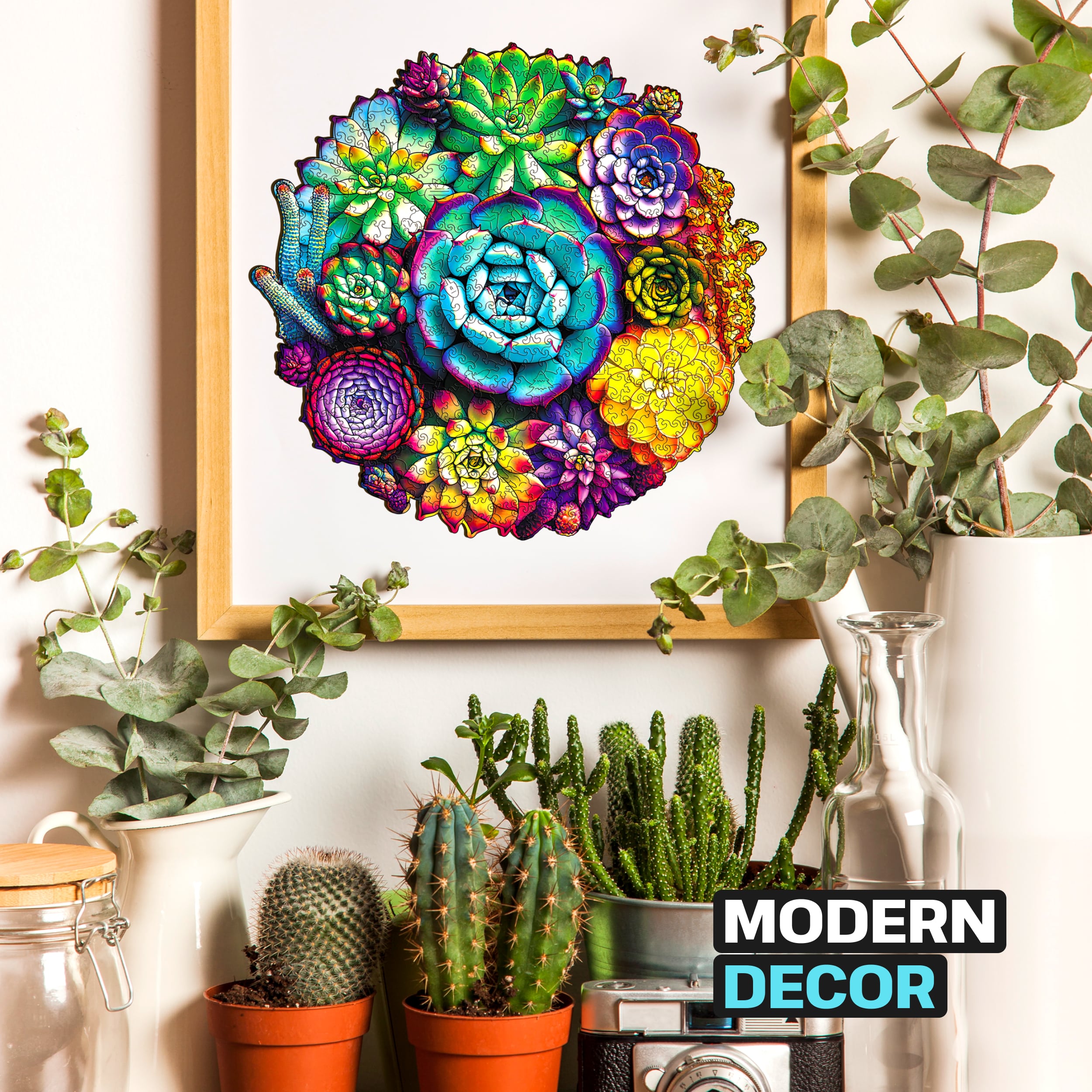 Images and photos of Succulent puzzle 500 pieces. ESC WELT.