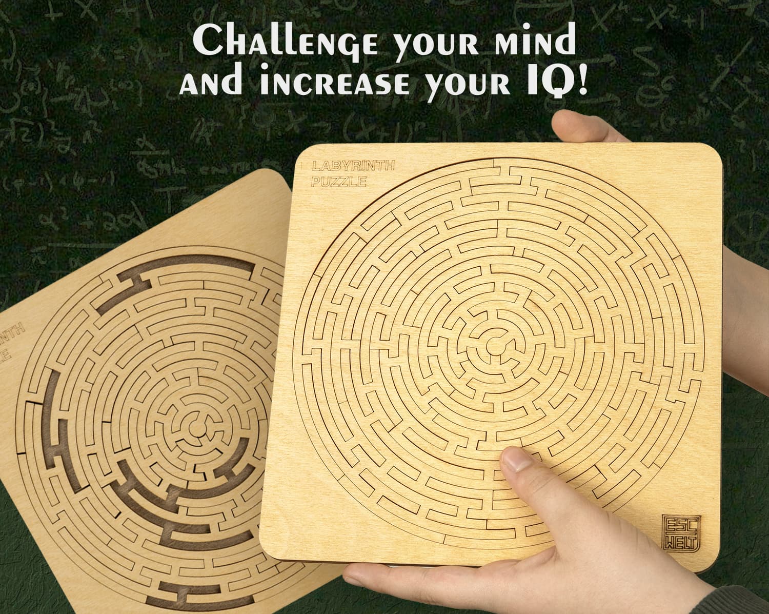 Images and photos of Labyrinth Puzzle. ESC WELT.